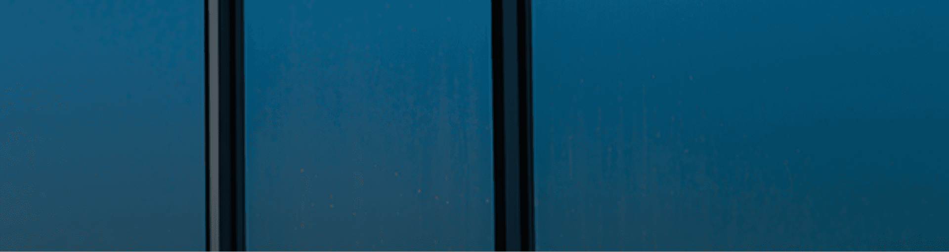 Fensterreinigung